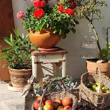 Roubenka U Monince Villa *