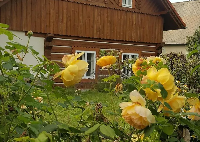 Roubenka U Monince Borotin